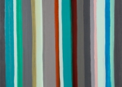 THE HIDDEN LIFE OF STRIPES 16 (2017)