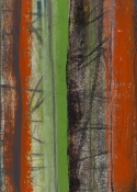 Stripes 14