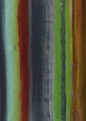 Stripes 15